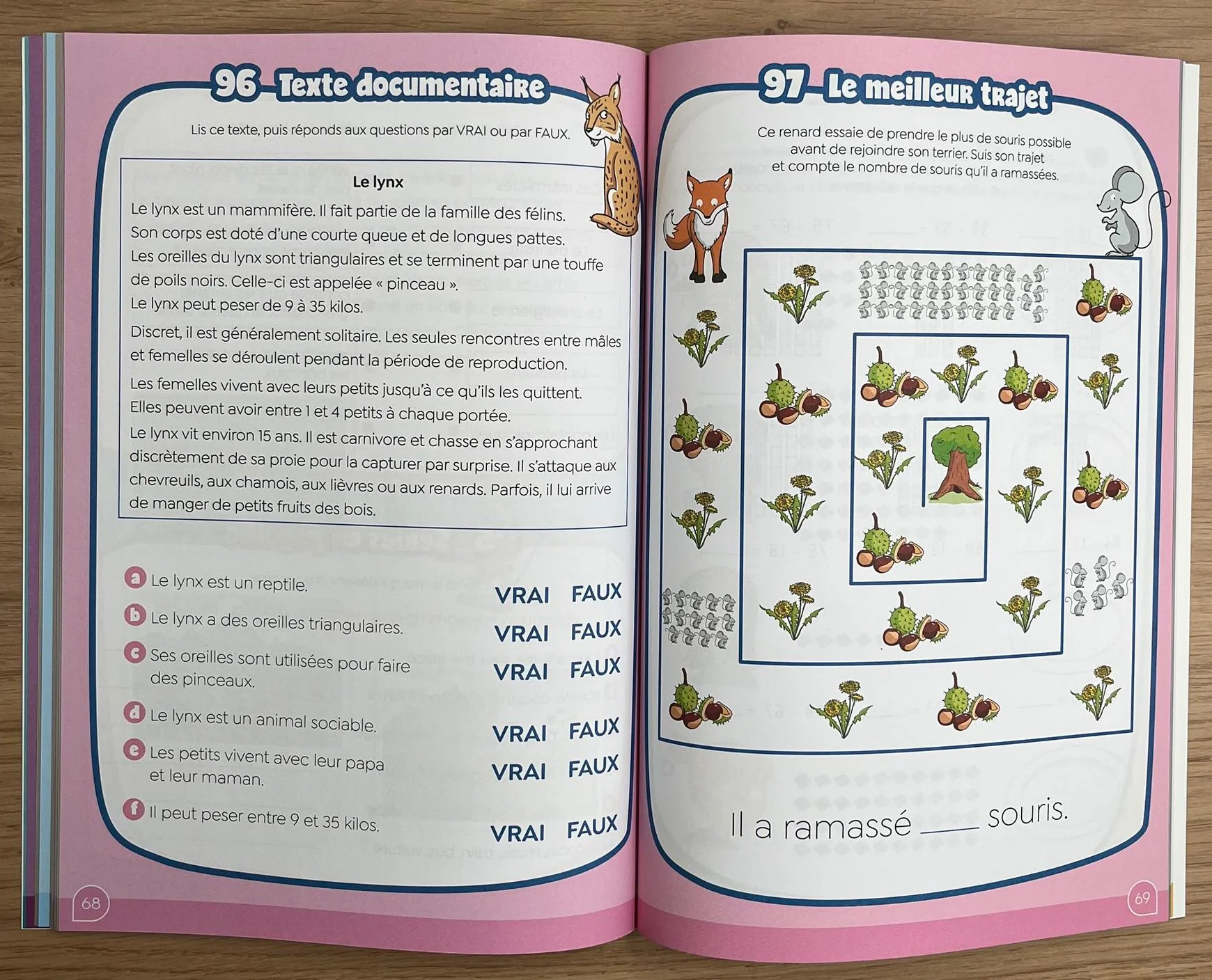 125 jeux avec Klorophile - 4P - 7 à 8 ans. – Image 3