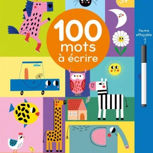 100 mots à écrire