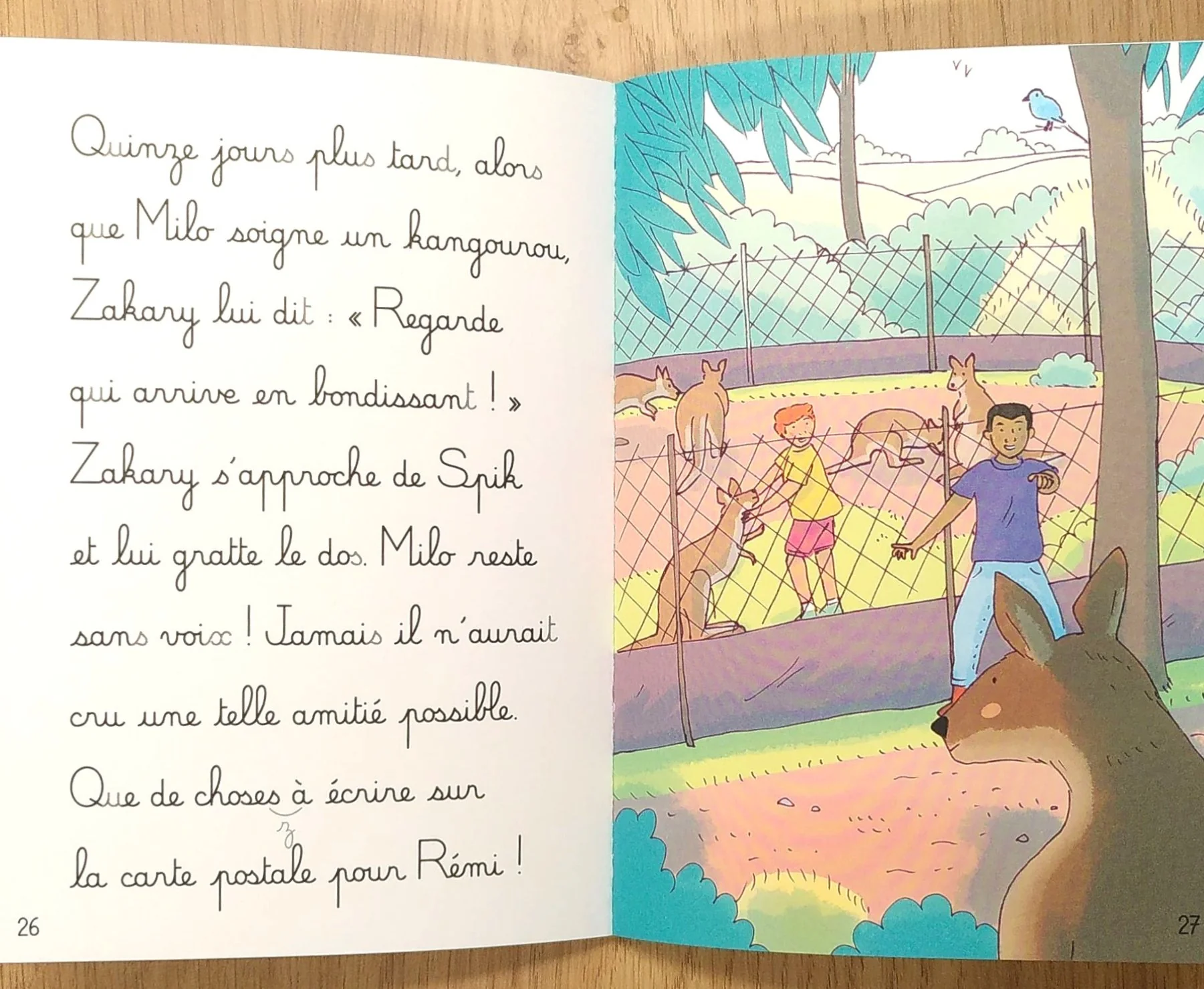 Au pays des kangourous - Mes premières lectures Montessori - Lettres en lié (cursive) - N4 – Image 5