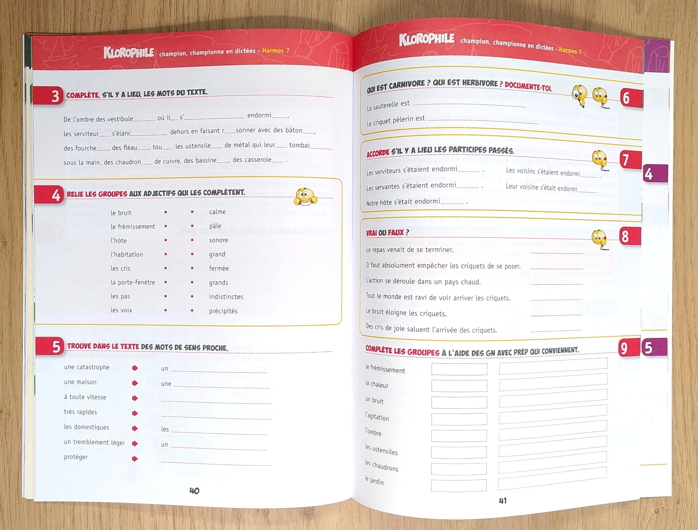 7P Harmos - Klorophile Dictées – Image 5