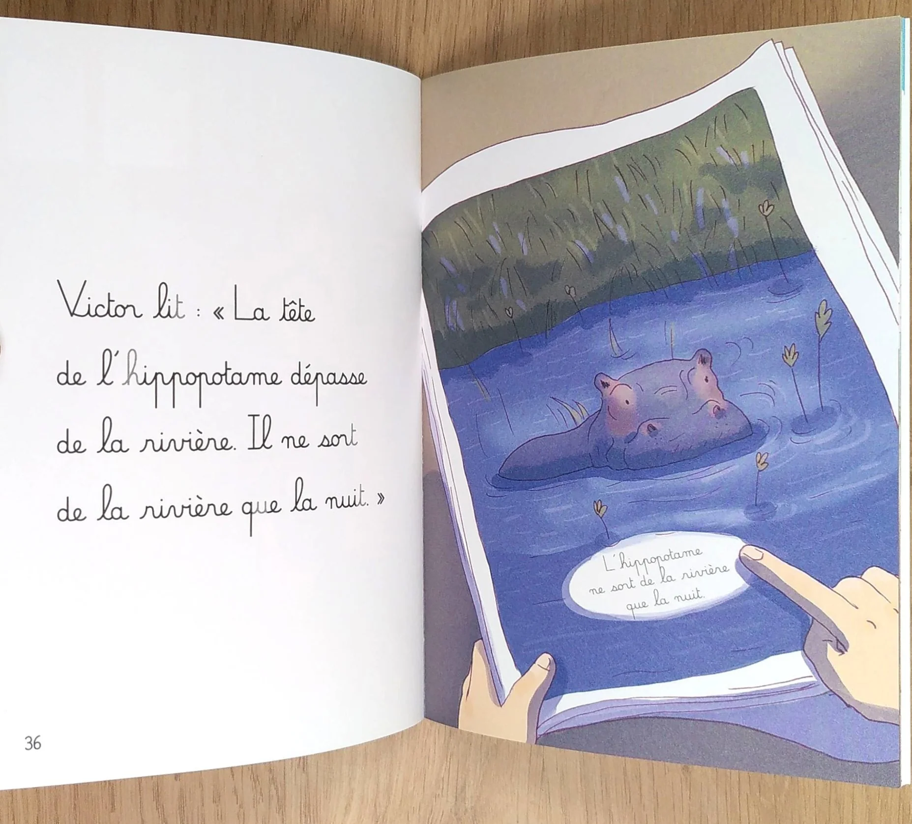 Amazonie et Savane - Je lis avec Montessori - Lettres en lié (cursive) - N1 – Image 5