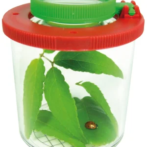 Boite-loupe pour observer les insectes