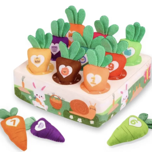 9 carottes à planter