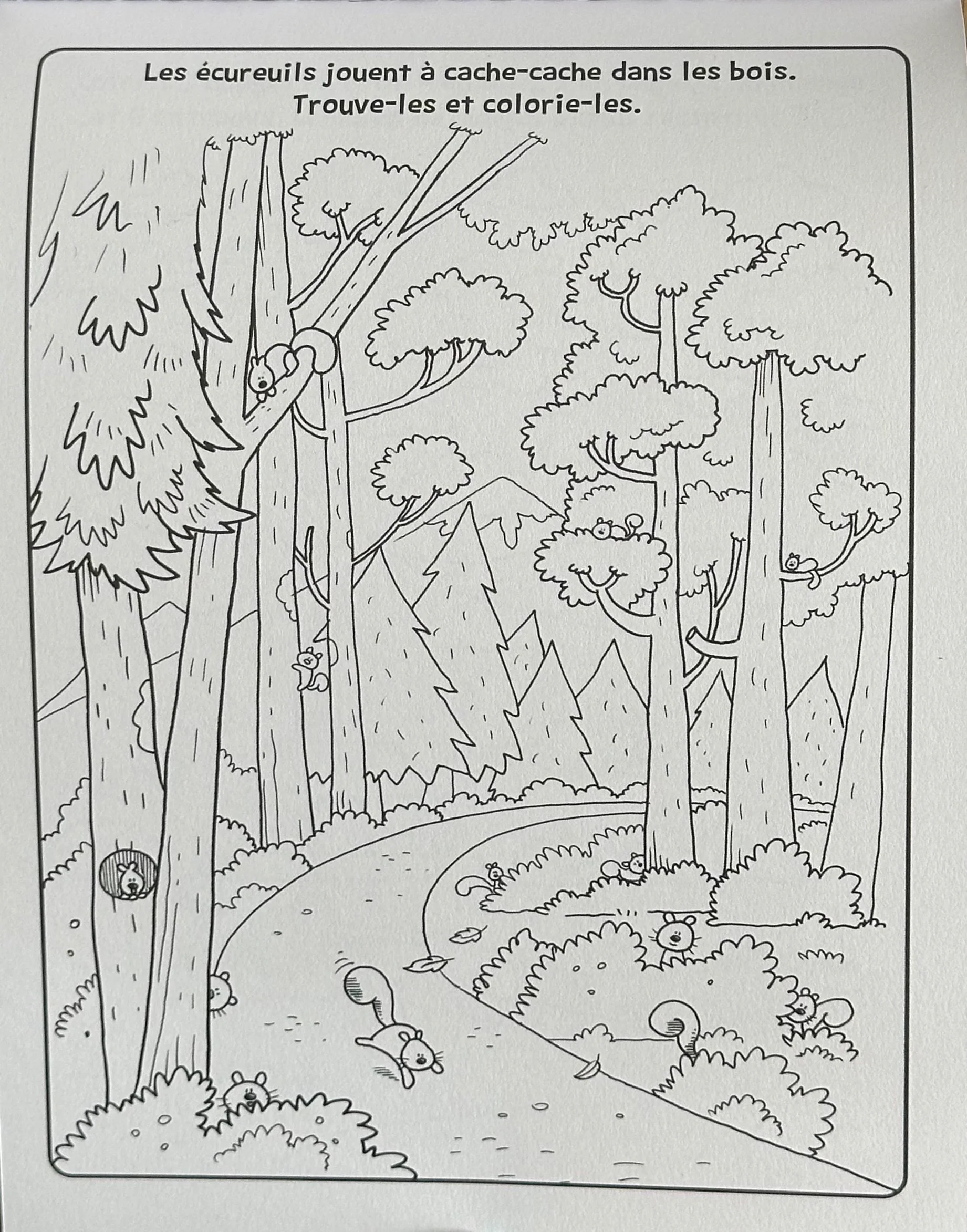 Bloc jeux: la Suisse - 6-8 ans – Image 3