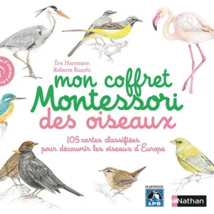 Mon coffret Montessori des oiseaux