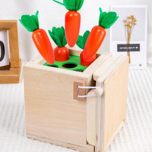 Jeux de carottes Montessori