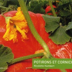 Potirons et cornichons de Nicolette Humbert