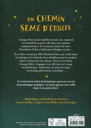Un chemin semé d'étoiles - Livre ado – Image 2