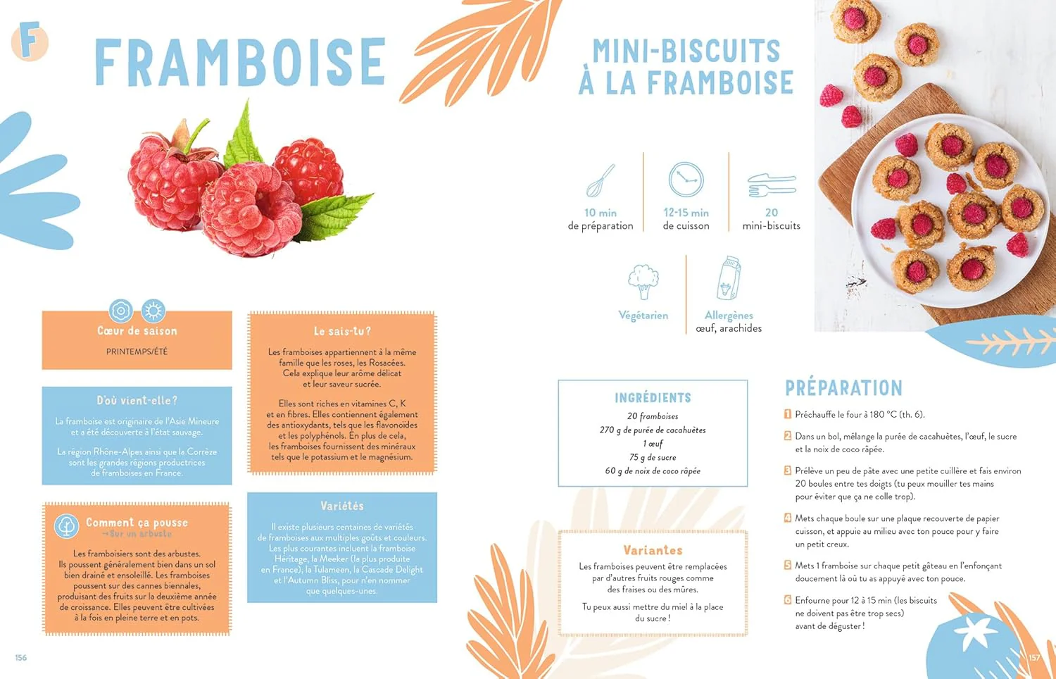 Vos enfants vont aimer les fruits & légumes (et vous aussi !) – Image 3