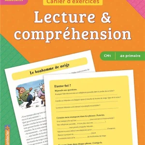 9-10 ans - Exercices compréhension de texte : le bonhomme de neige - 6e harmos