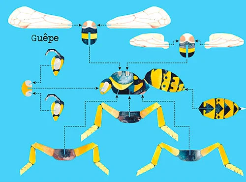 Construis en 3D - Insectes - âge minimum 3 ans – Image 3