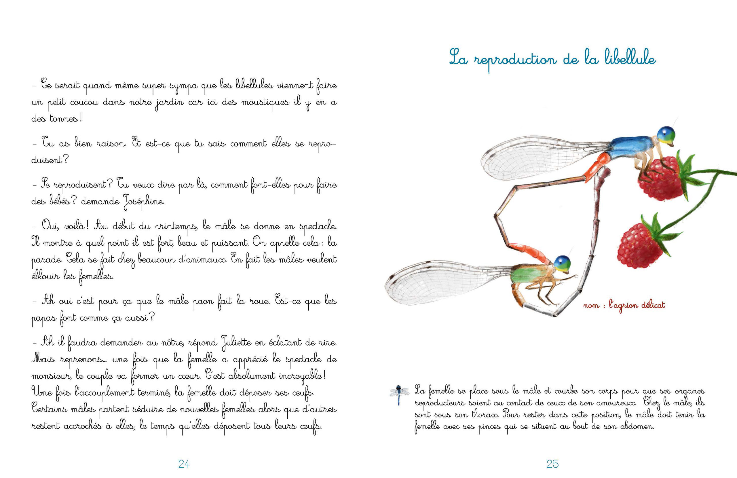 Livre Le jardin de Juliette et Joséphine « La Libellule » – Image 2