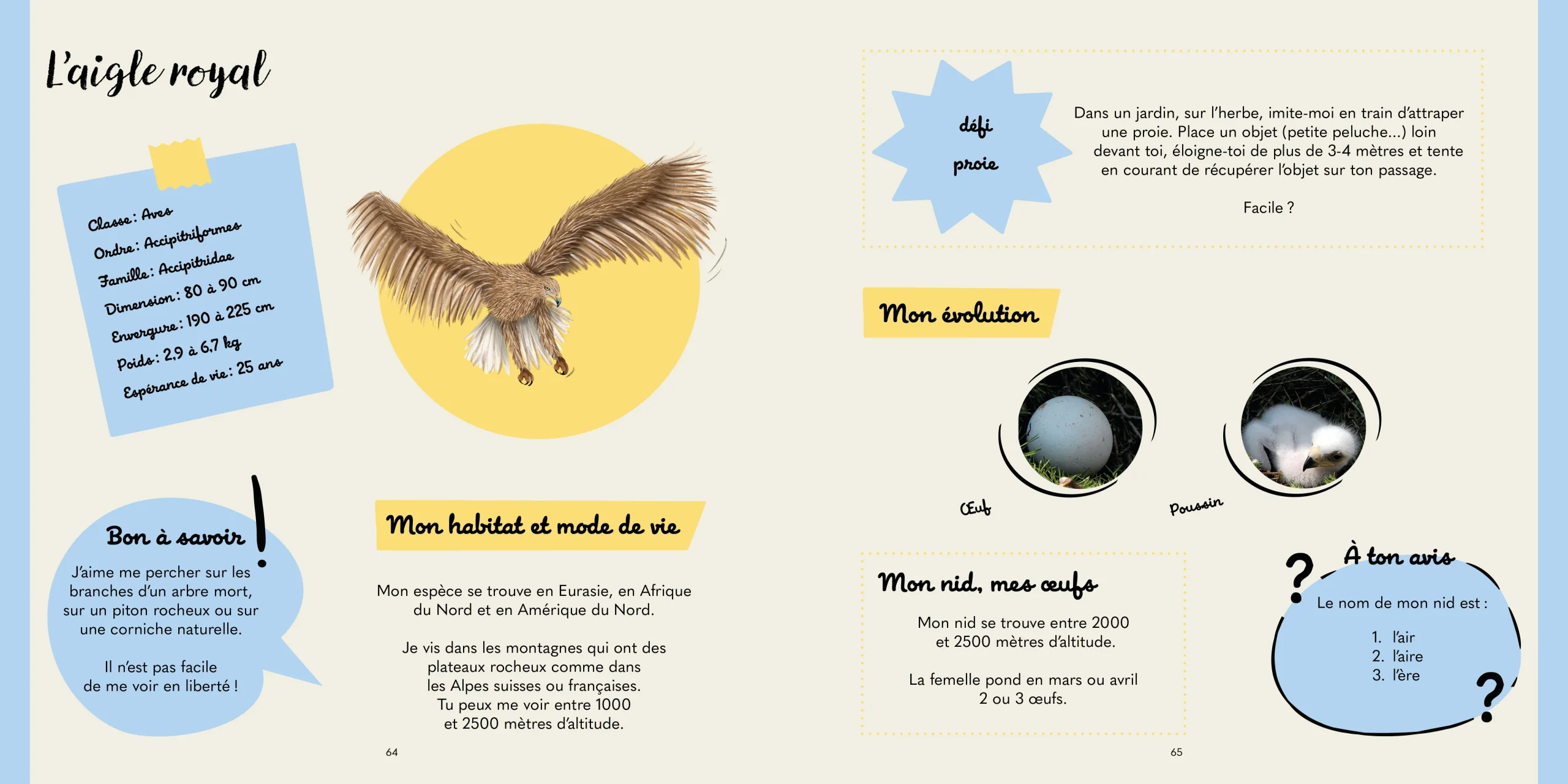 Bondinette au Pays du Saint-Bernard – Image 2