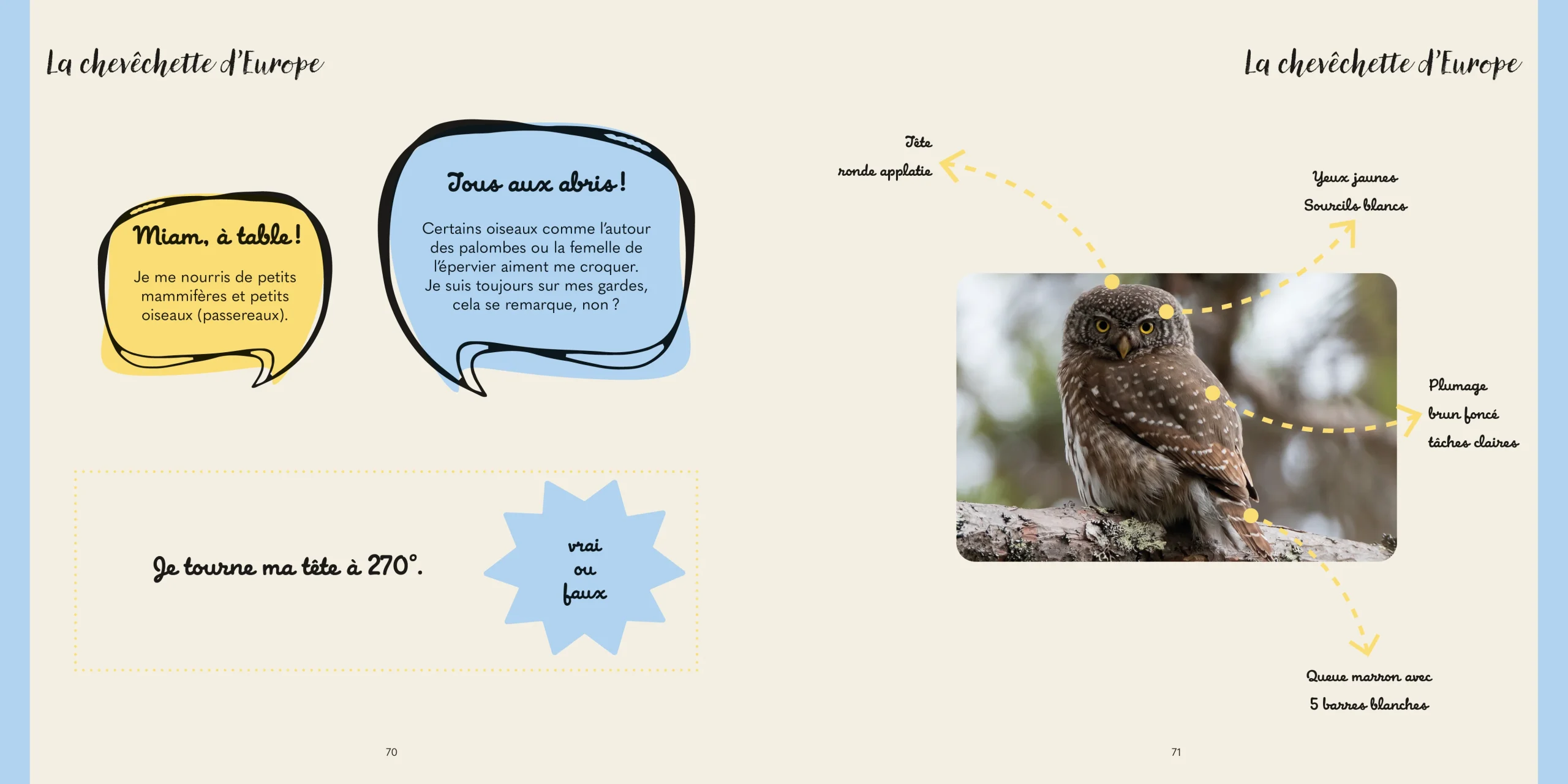 Bondinette au Pays du Saint-Bernard – Image 3