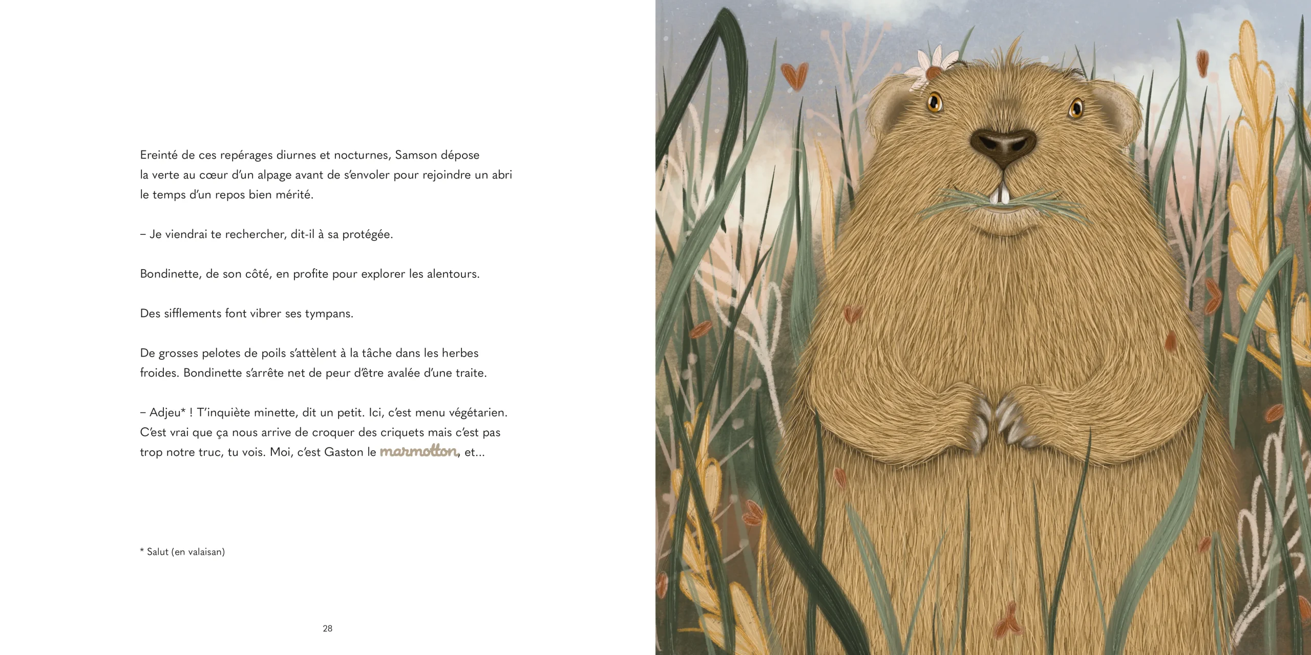 Bondinette au Pays du Saint-Bernard – Image 4