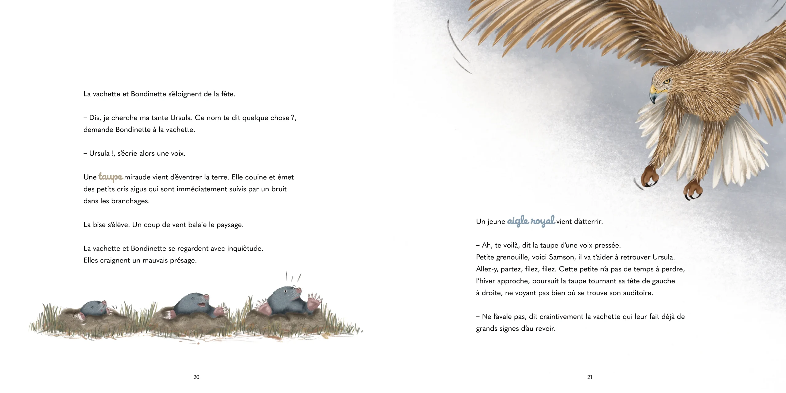 Bondinette au Pays du Saint-Bernard – Image 5