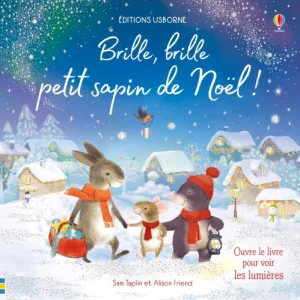 Brille, brille petit sapin de Noël