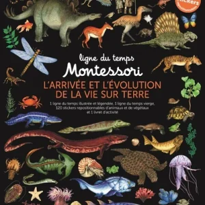 Ma ligne du temps Montessori de l'arrivée de la vie sur Terre - Nouvelle édition