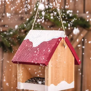 Kit mangeoire à oiseaux en bois massif à construire - Dès 8 ans