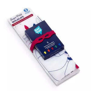 Coloriage en silicone - Colorie des Pandas de Chine - Dès 3 ans