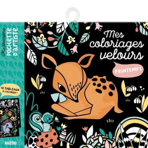 Printemps - 10 Tableaux de velours à colorier dès 3 ans